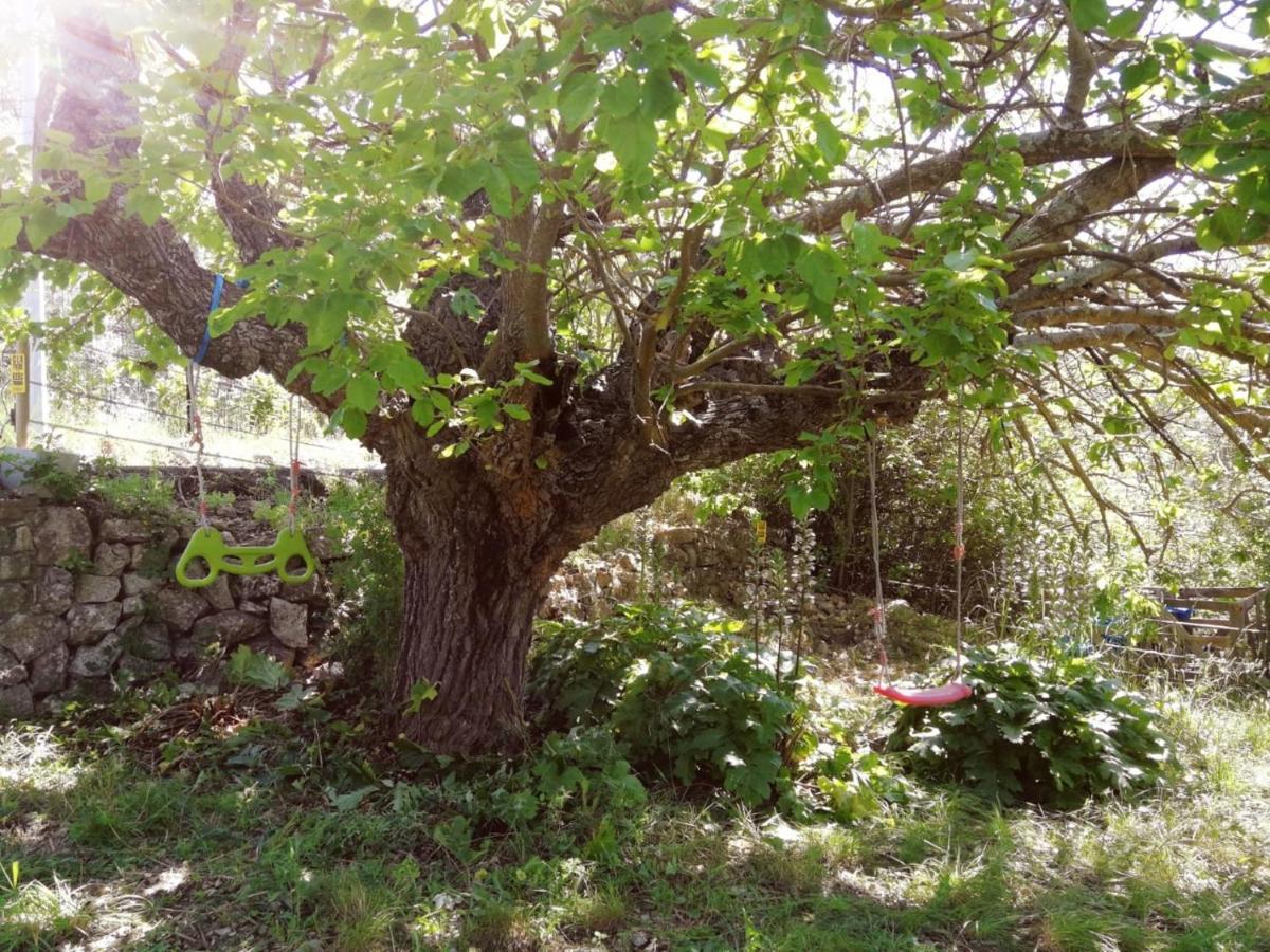 Bastide Provencale Les Muriers D'Engaspaty เซญองส์ ภายนอก รูปภาพ